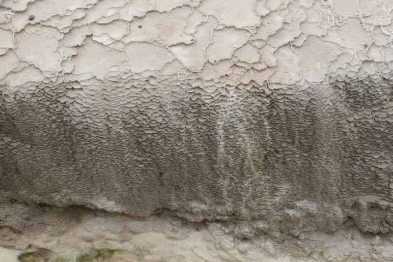 Nieuw-Zeeland 2011 - 0764